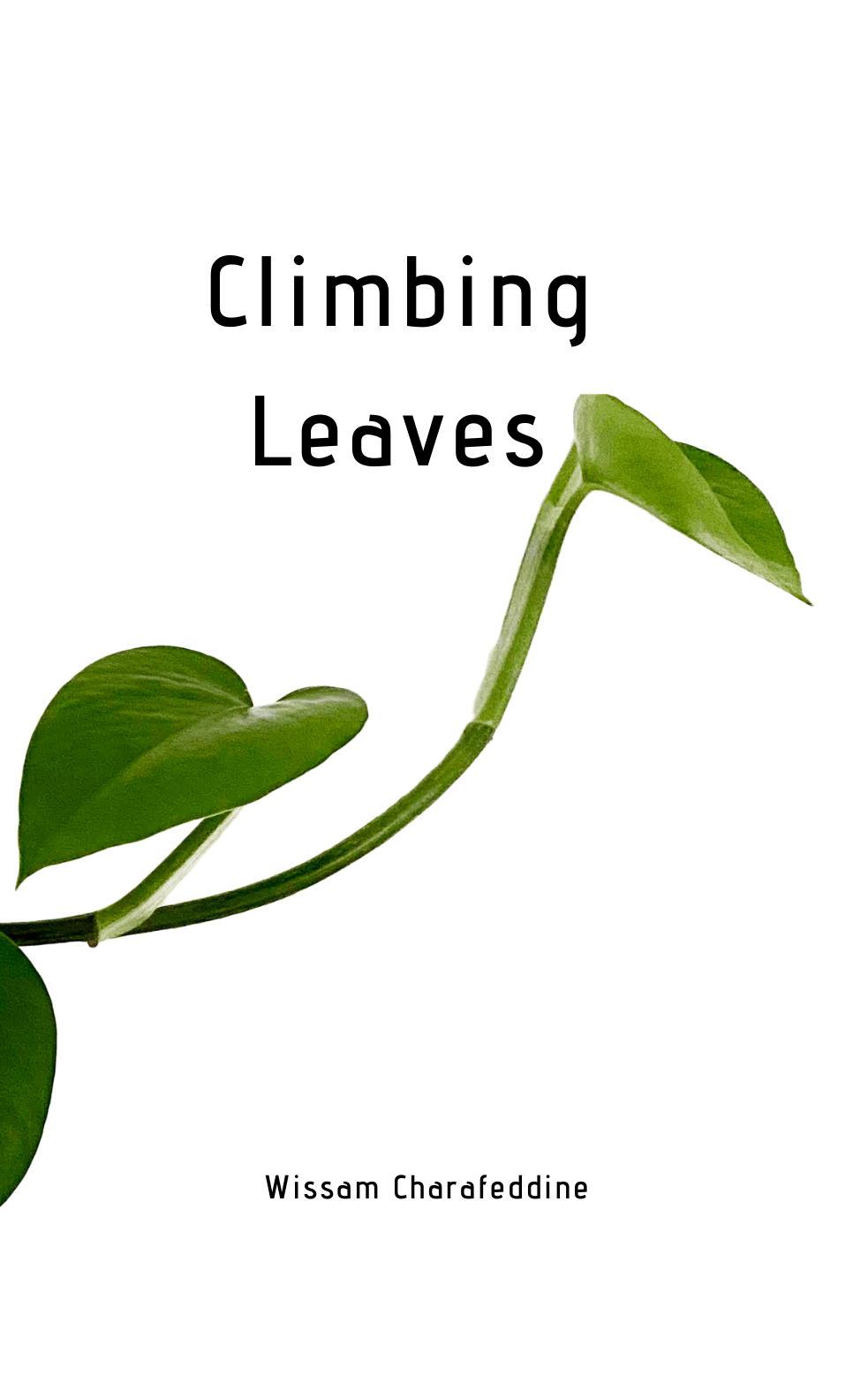 Climbing Leaves by Wissam Charafeddine