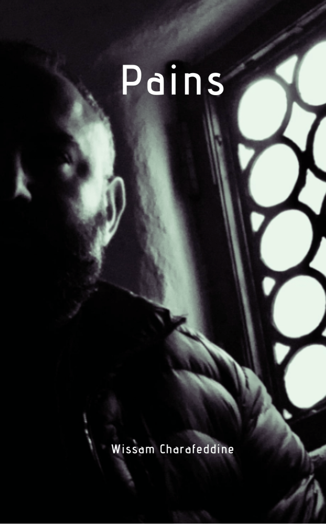 Pains by Wissam Charafeddine